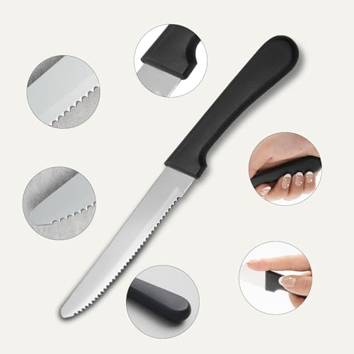 36 PCS Steak Knife Set (36 Count)