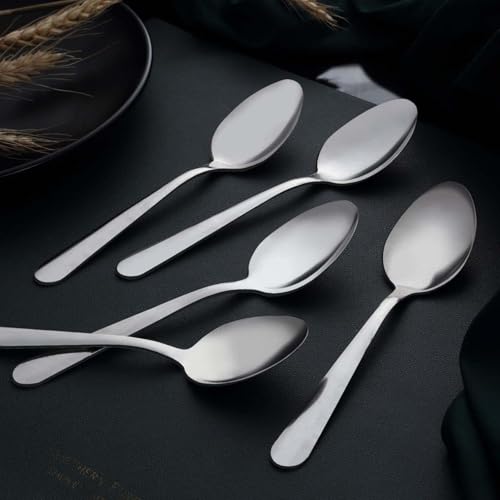 24 Pieces Dinner Spoons Set Silverware (24 Count)