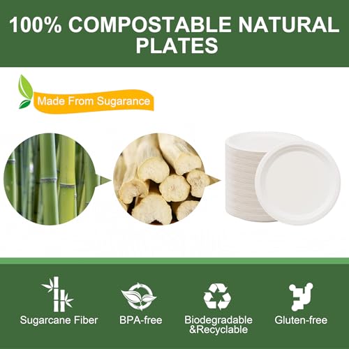 Paper Plates 9 Inch 125 (125 Count)