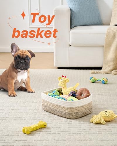 Small Woven Storage Basket for Organizing (3 Count)