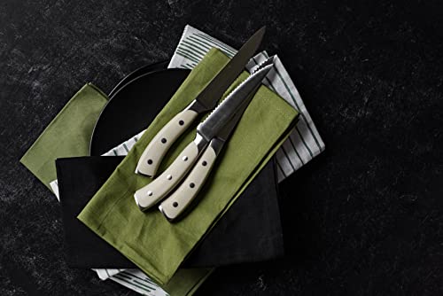 4 Piece Serrated Kitchen Steak Knife Set (4 Count)