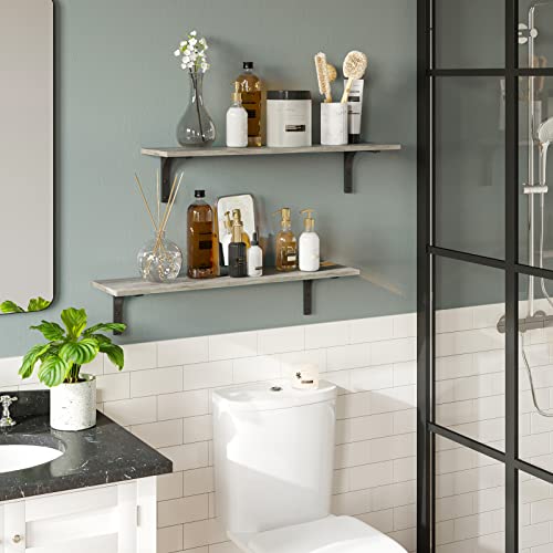 Long Wall Shelves (2 Count)