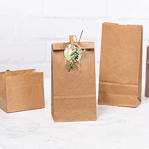 Bag Tek 2 LB Disposable Lunch Bags 100 Sturdy Take Out Bags (100 Count)
