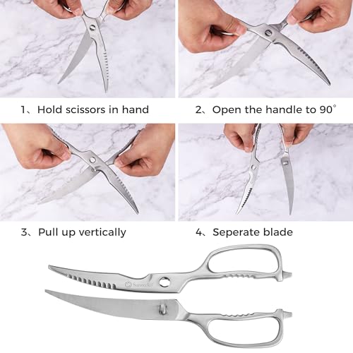 Heavy Duty Kitchen Scissors