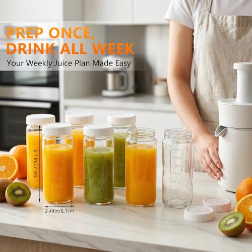 Glass Juice Bottles (10 Count)