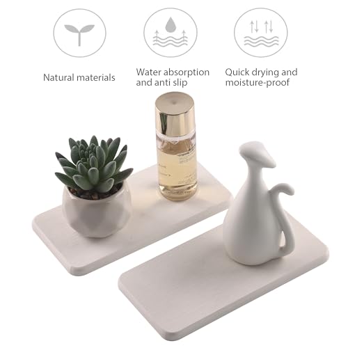 2Pcs Stone Soap Trays Water Absorbing Diatomite Coaster (2 Count)
