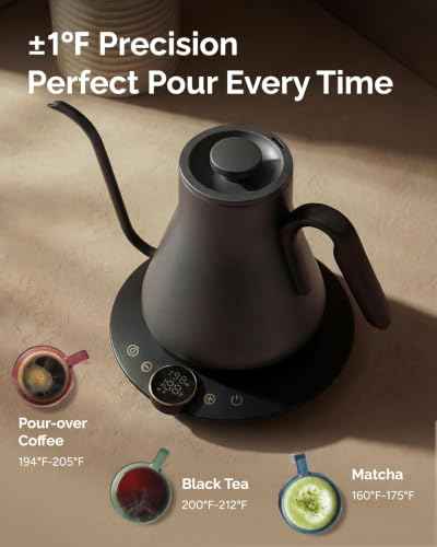 Electric Kettle