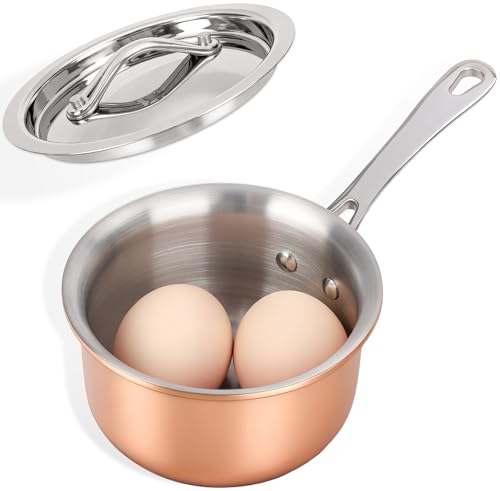 Mini Sauce Pan with Lid