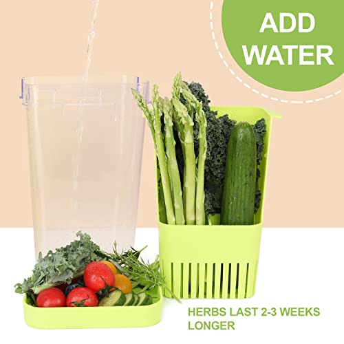 Fresh Herb Keeper for Refrigerator (2 Count)