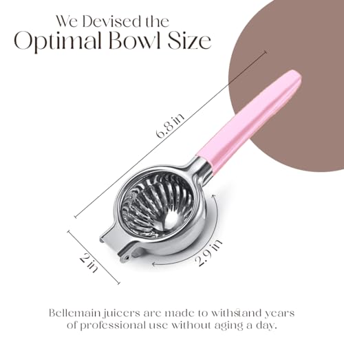 Metal Lemon Squeezer