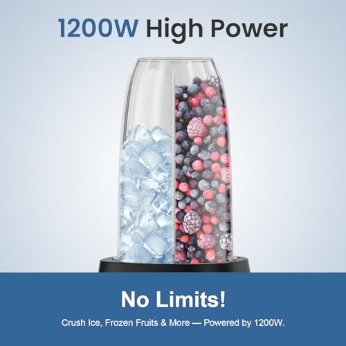 1200W Smoothie Blender