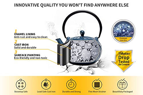 Japanese Cast Iron Tea Kettle with Infuser for Loose Leaf and Tea Bags