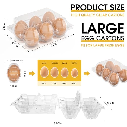 100 Pack Large Egg Cartons Cheap Bulk 6 Count Plastic Egg Containers 2x3