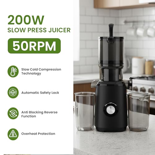 Cold Press Juicer