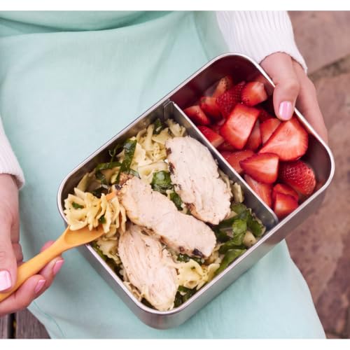 Flexibento 47 OZ Leak proof Stainless Steel Lunch Box Containers with Silicone Lids