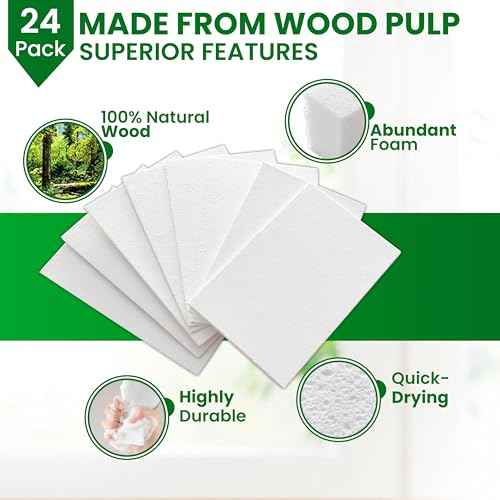 Cellulose Sponges (24 Count)