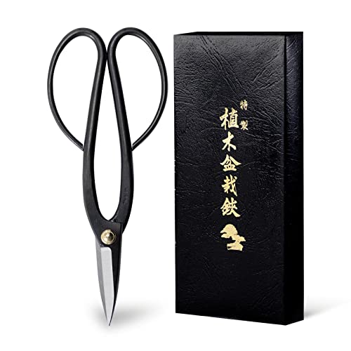 Ashinaga Bonsai Pruning Scissors 8inch