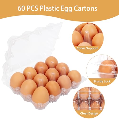 60Pack Duck Egg Cartons Cheap Bulk 1 Dozen Jumbo Egg Cartons (60 Count)