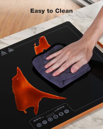 Electric Warming Tray