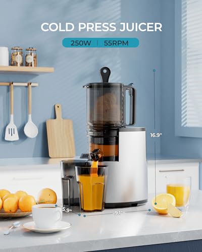 Cold Press Juicer