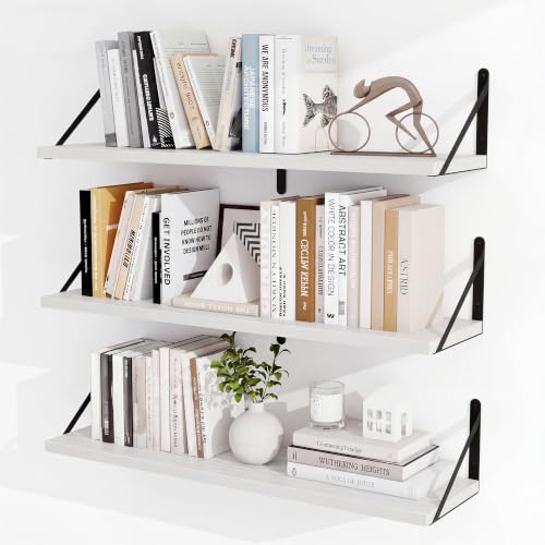Floating Book Shelves for Wall (3 Count)