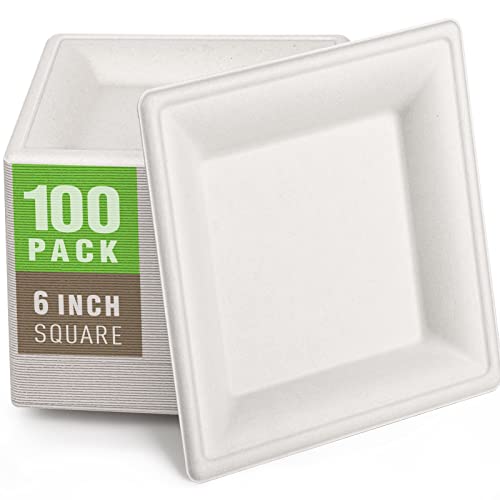 Samll Compostable Square Paper Plates 6 Inch 100 Pack Disposable (100 Count)