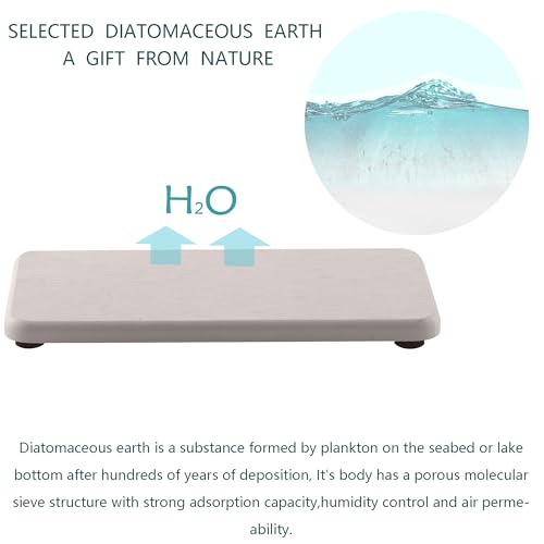 2Pcs Stone Soap Trays Water Absorbing Diatomite Coaster (2 Count)