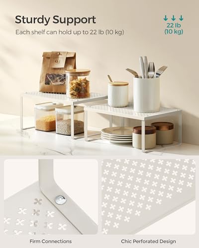 Set of 4 Metal Spice Racks (4 Count)