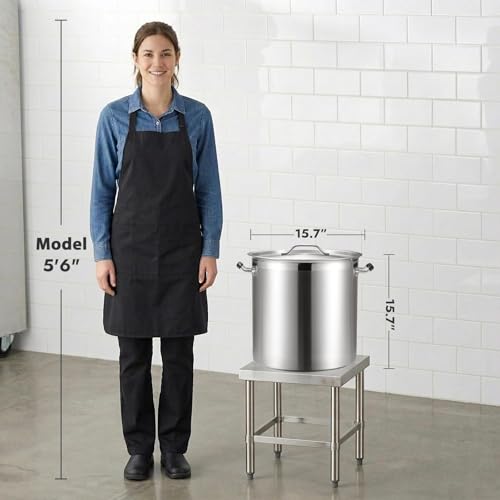 50 Quart Heavy Duty Stock Pot with Lid