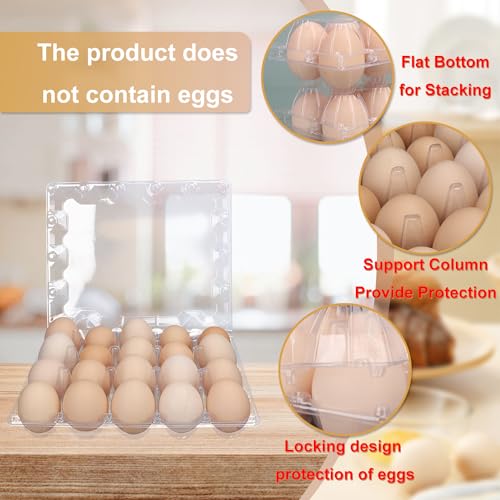 50 Pack Bulk Egg Cartons (50 Count)