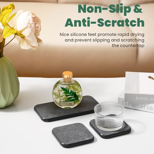 3PCS Water Absorbing Diatomaceous Earth Tray for Sink