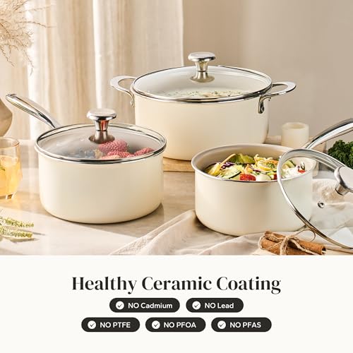 Stock Pot Set with Lid 5Qt
