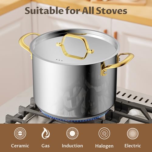 12 QT Stainless Steel Stock Pot