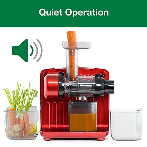 Juicer Cold Press 365 Slow Masticating Vegetable and Fruit Juice Extractor and Nutrition System Makes Nut Milks Baby Food and Sorbets