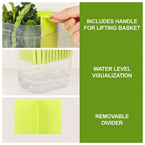 3 Pack Fresh Herb Keeper for Refrigerator