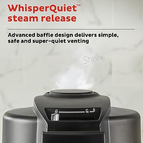 InstantPot Duo Crisp Ultimate 6.5Qt 13