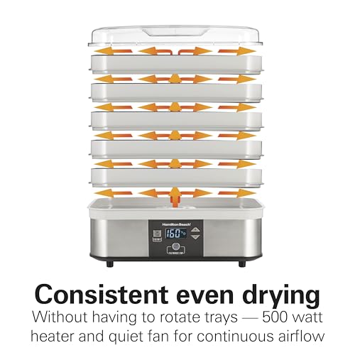Digital Food Dehydrator for Fruit