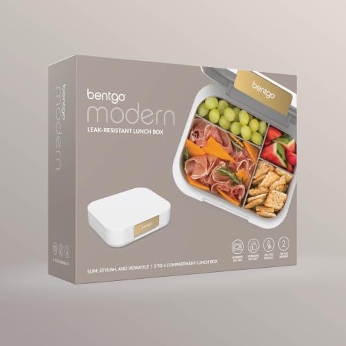 Modern Adult Bento Lunch Box with 3