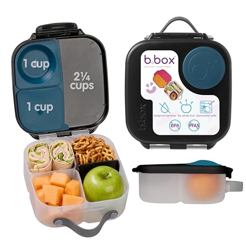 Mini Lunch Box
