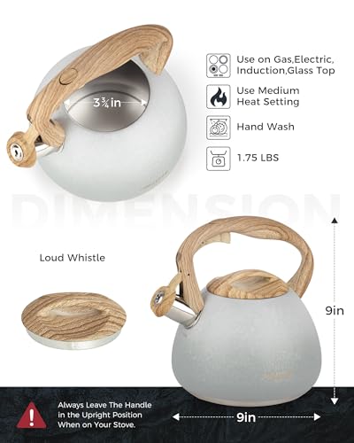POLIVIAR Tea Kettle