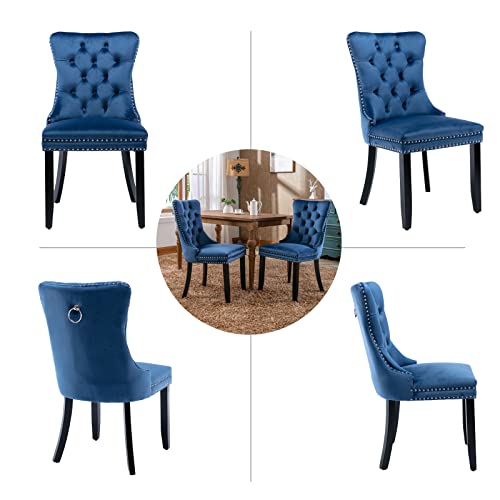 Blue Velvet Dining Chairs Set of 2 (2 Count)