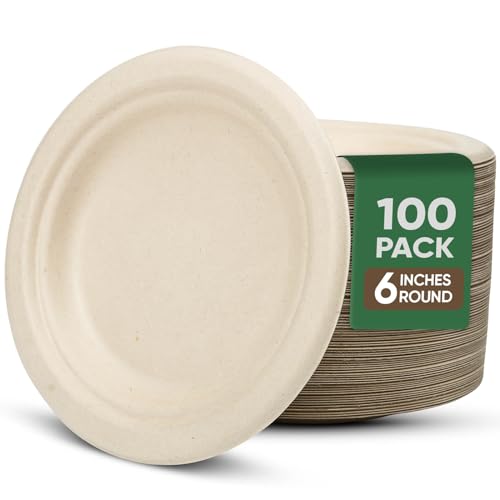 Small Disposable Paper Plates 6 inch (100 Count)