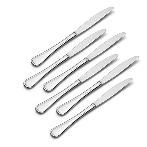 Flight Dinner Knives Silverware Set for 6 (6 Count)