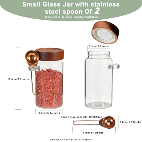 18 oz Glass Spice Jars with Spoons Wooden Airtight Lid Sugar Coffee Ground Canister Round Glass Food Storage Container for Herb Seasoning Cookies Tea Condiment Salt