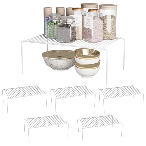 6Pack Cabinet Storage Shelf Spice Rack (6 Count)