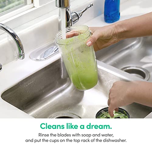 Personal Blender
