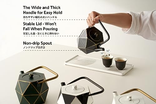 Cast Iron Teapot