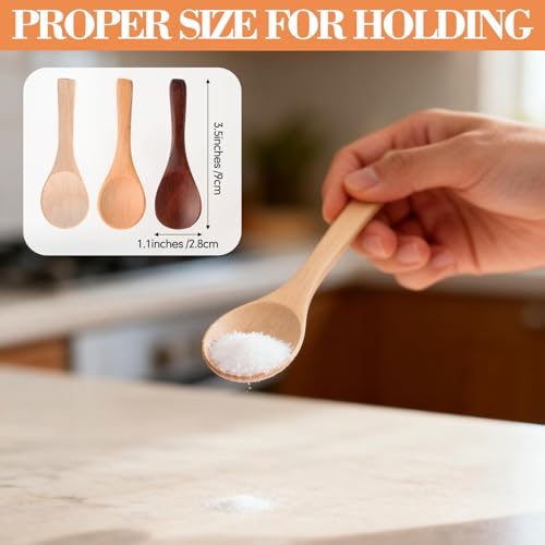24 Pcs Small Wooden Spoons (24 Count)