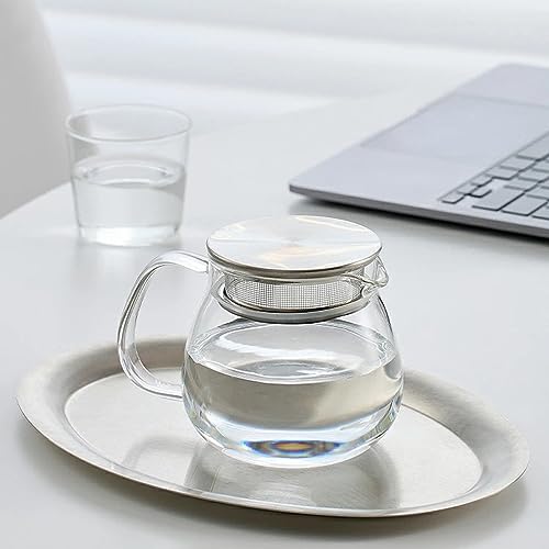 Glass Teapot with Removable Stainless Steel Filter Lid Stovetop & Microwave Safe Borosilicate Glass Kettle for Loose Leaf
