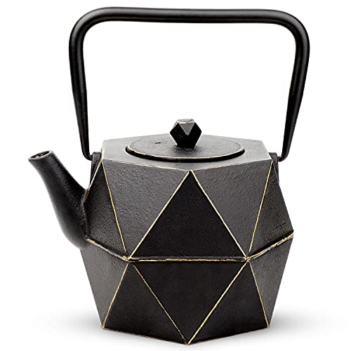 Cast Iron Teapot